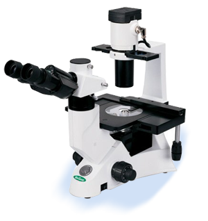 Upright Microscope